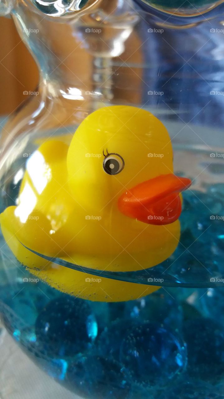 Rubber Ducky, you're the one....