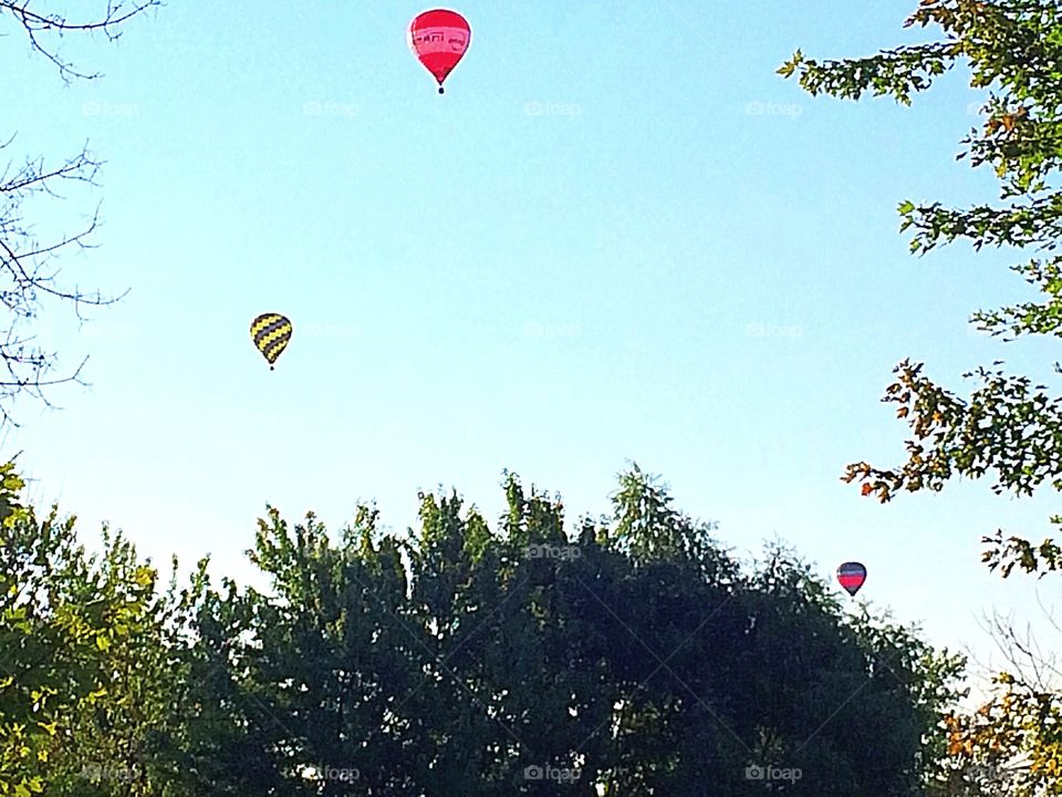 Hot air balloons 