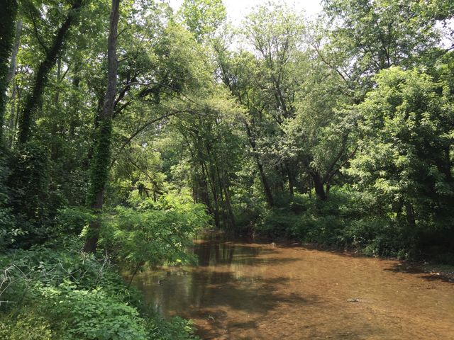Shallow Water