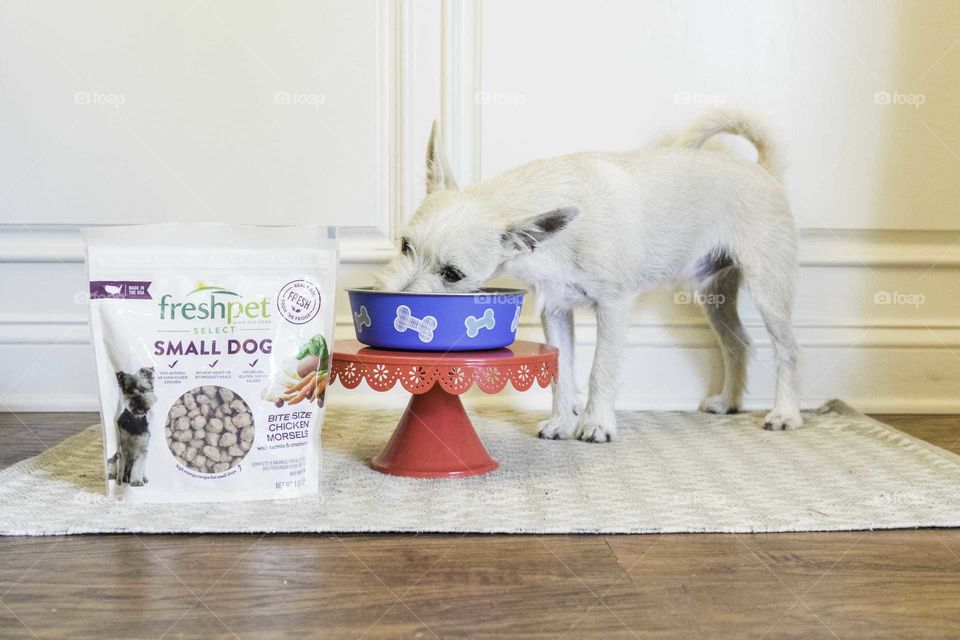 Freshpet