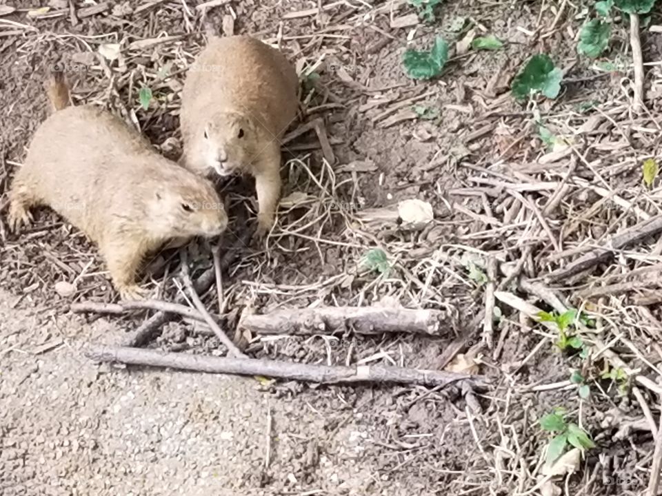 don t touch my stick