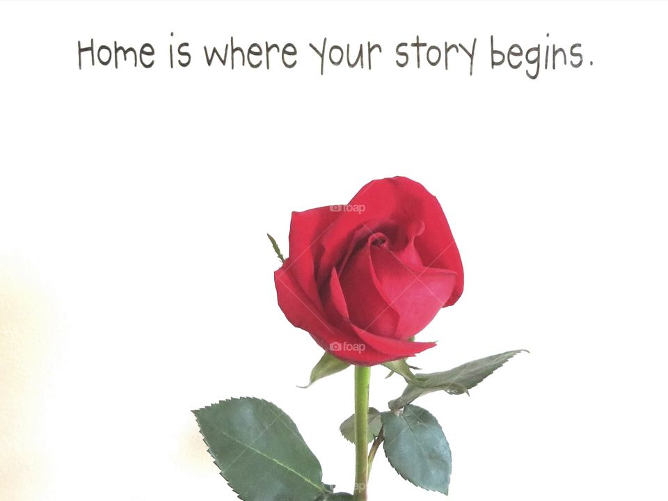 Home Is Where Your Story Begins