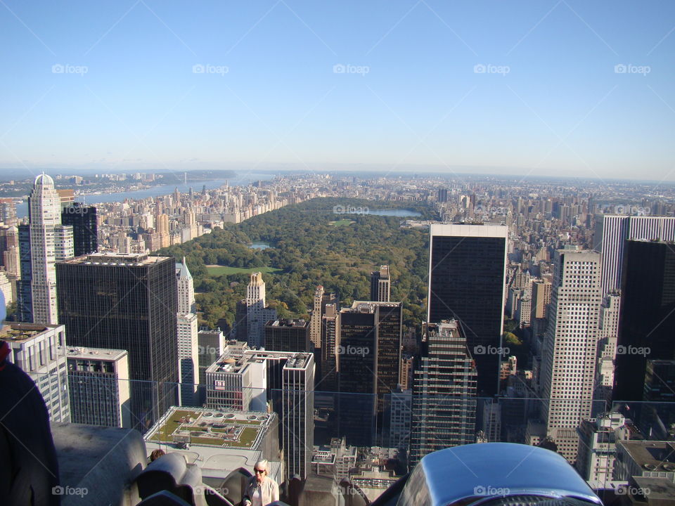 Picture of Central Park - Manhattan - New York