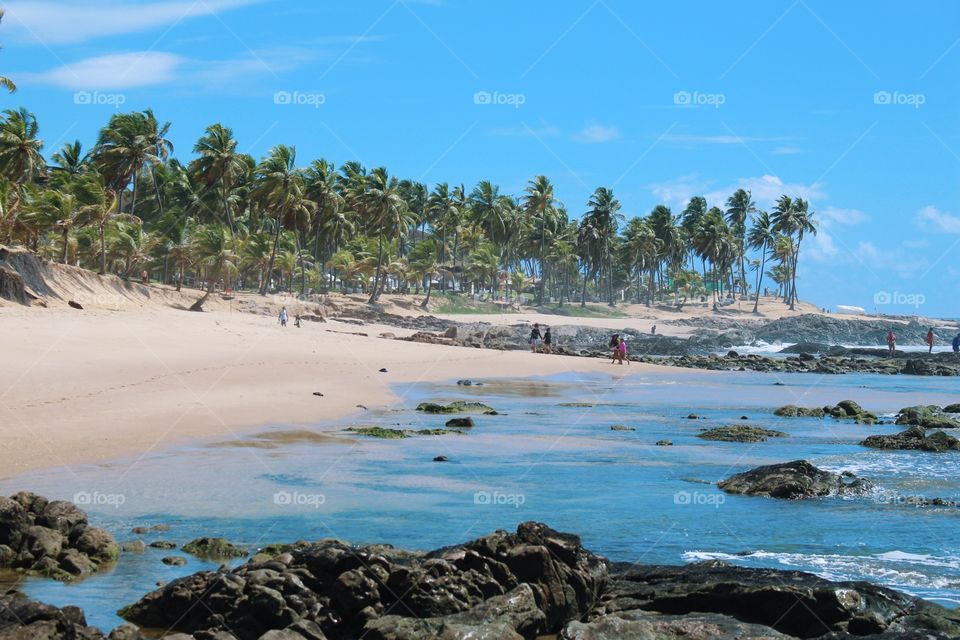 At the top of a rock at the edge of the sea I got this beautiful view of the beach with its palm trees dancing in the wind