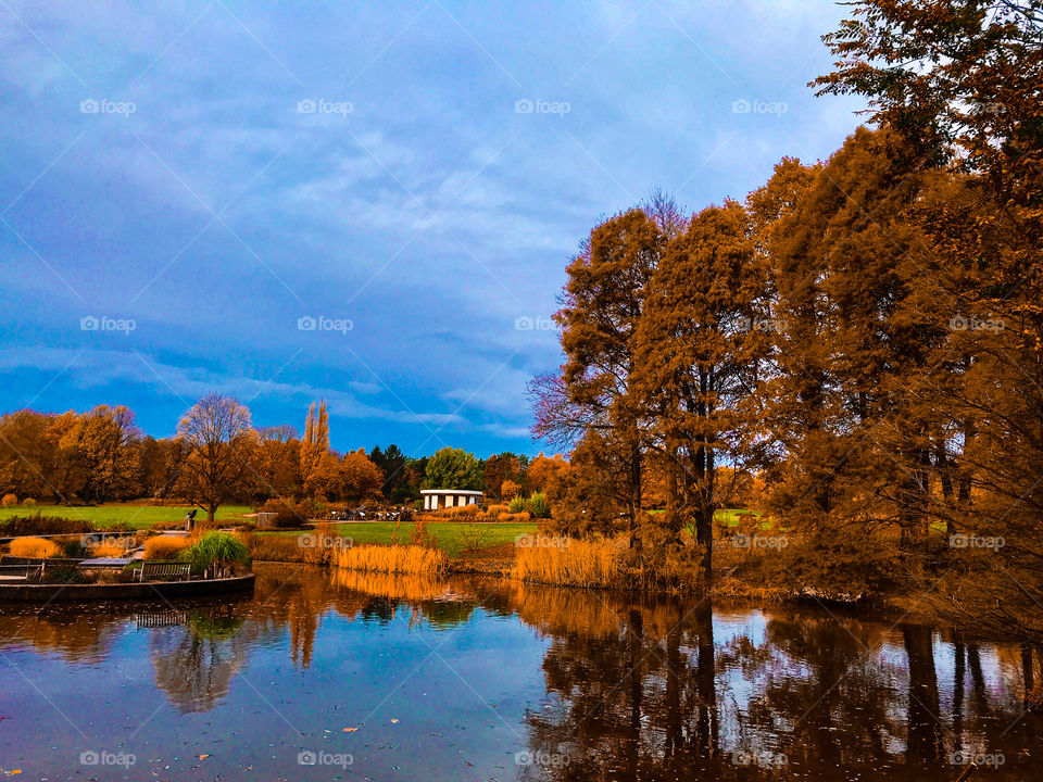 Beautiful autumn - Loki Schmidt Garten - Hamburg 