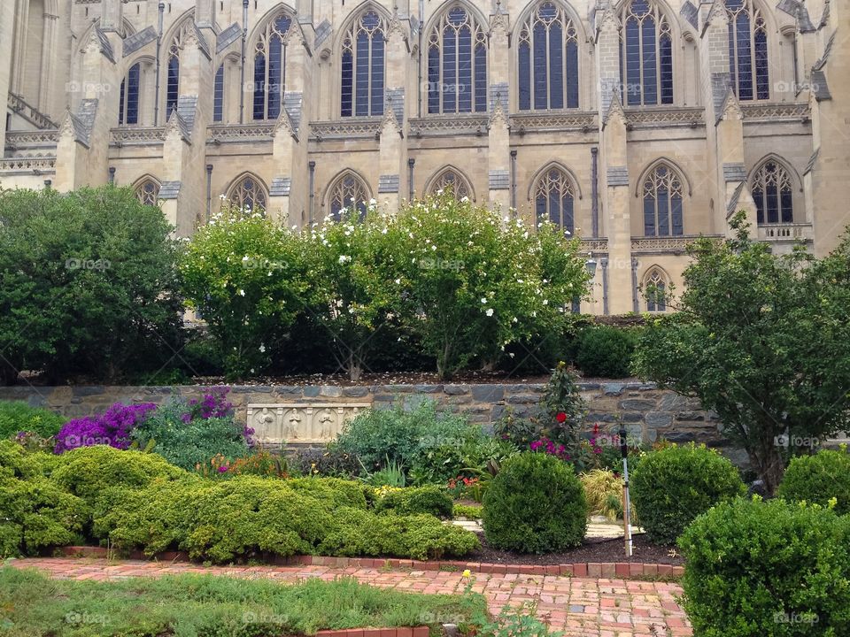 National Cathedral 8