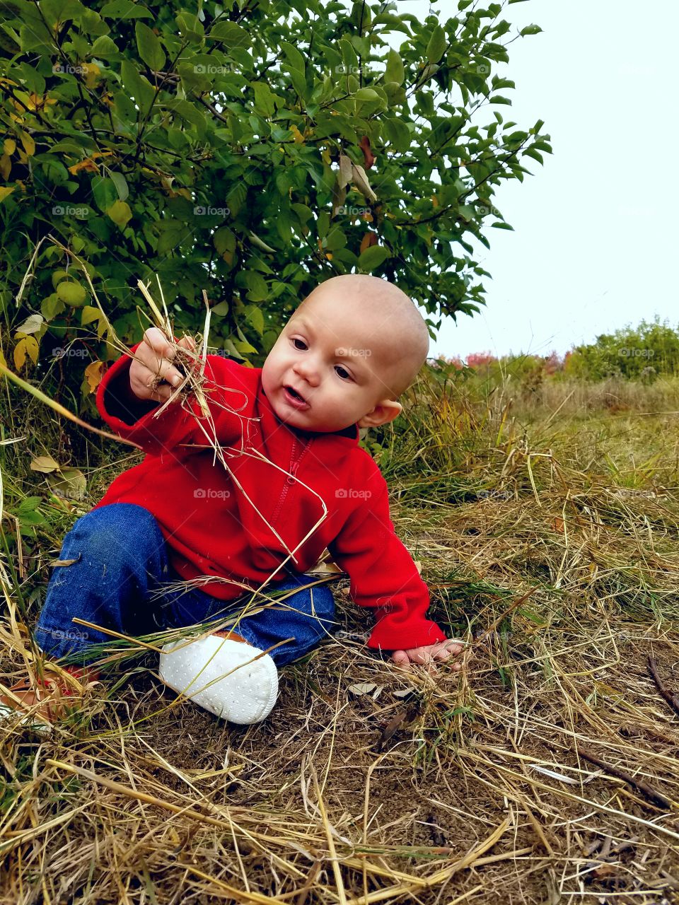 Exploring in the Apple orchard