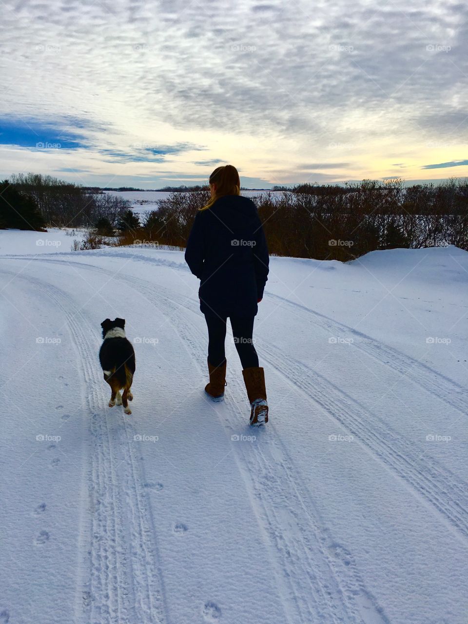 Winter walk