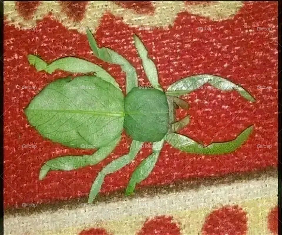 A very beautiful picture, and there is no better picture than it. There is no better picture of green herbs and colorful, red and white roses than it. Glory be to God, the natural and picturesque view, and there is no more