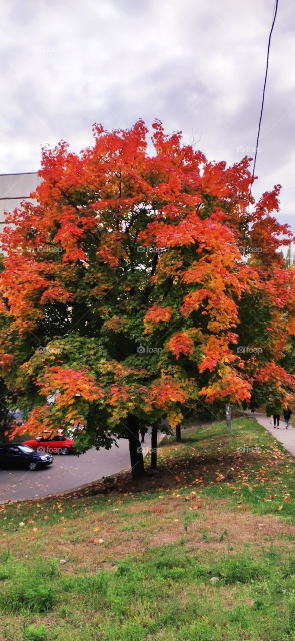 editors Choice Photo of the week