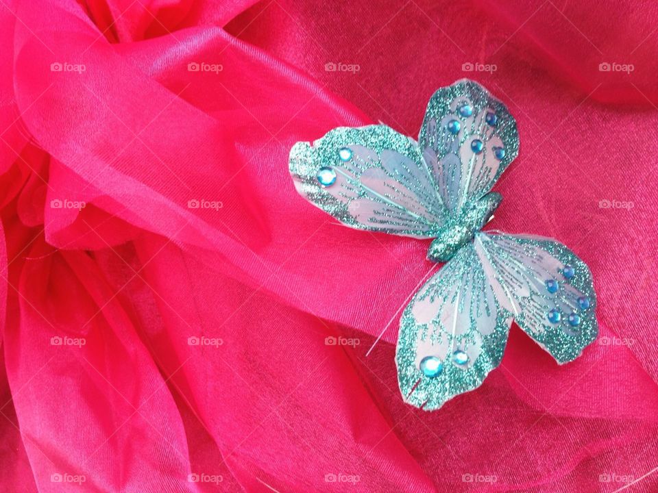 Butterfly on Pink