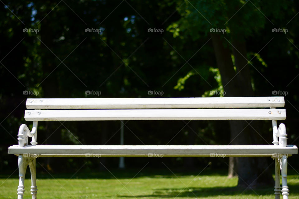 White iron bench in park. Wood and iron park bench in nature park Palic Serbia