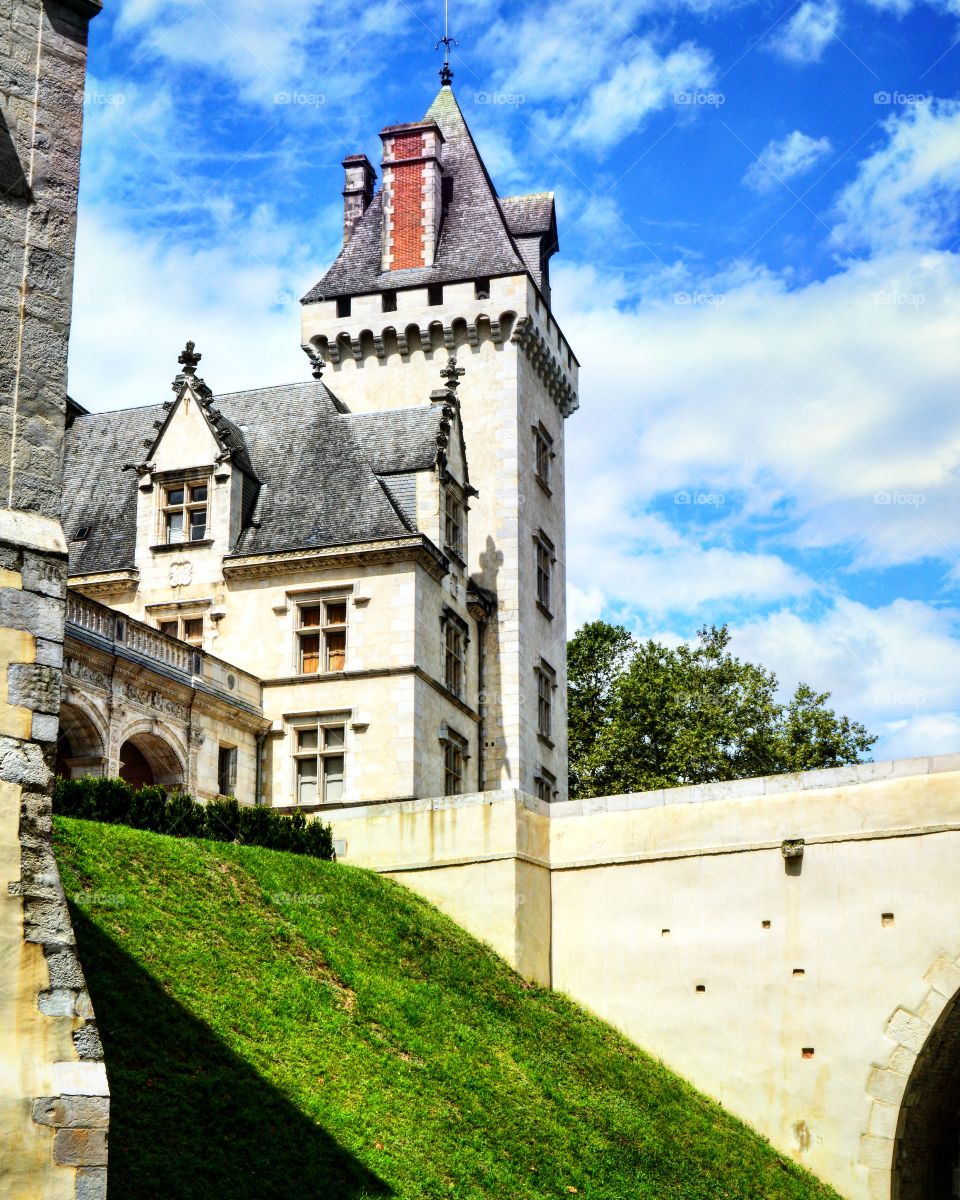 Pau Castle (France)