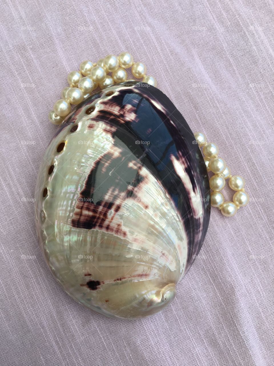 Shell snd pearls