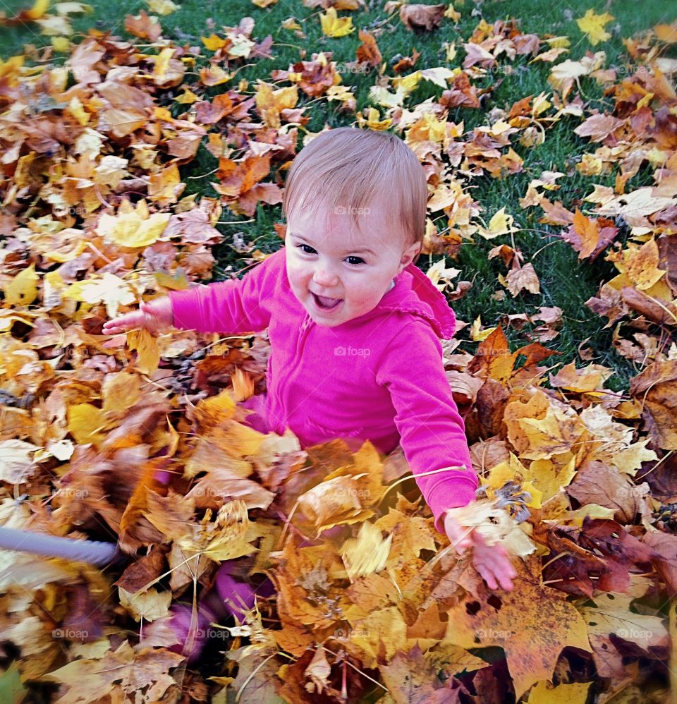 The simple joy of playing on the leaves