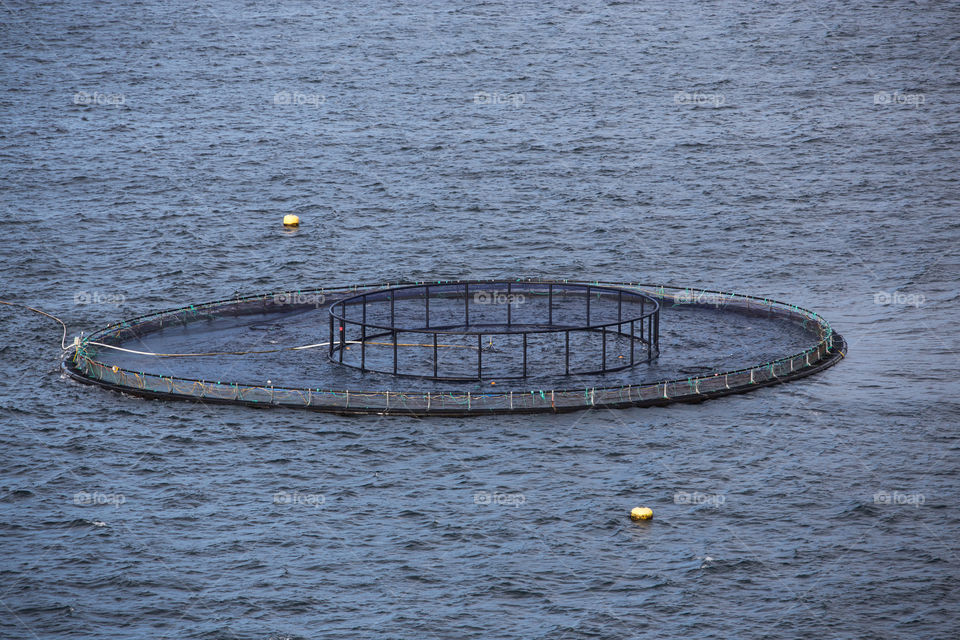 Fish Farming