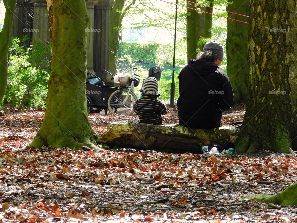 Picnic in the park