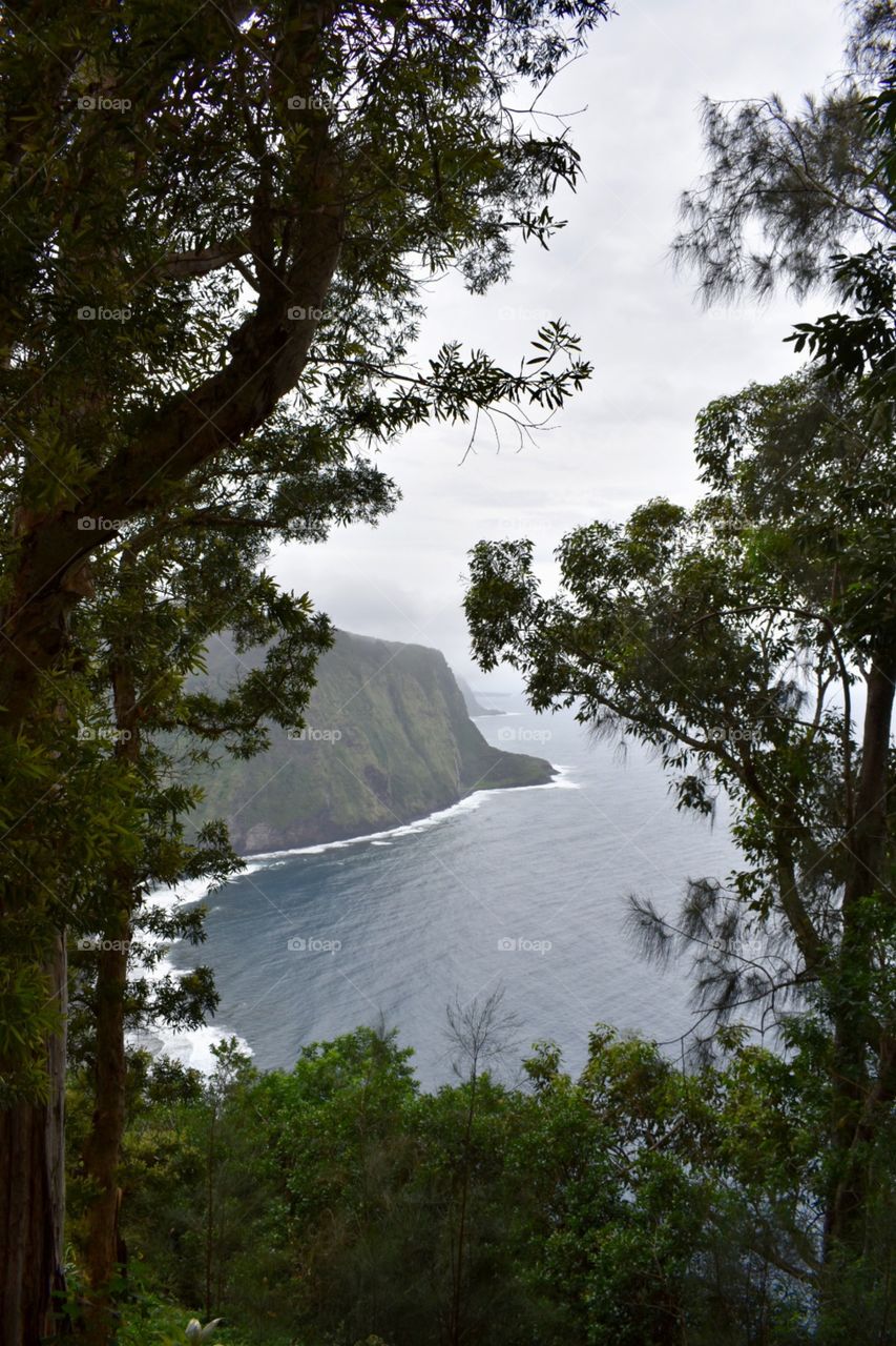 Overlooking Waipio Valley