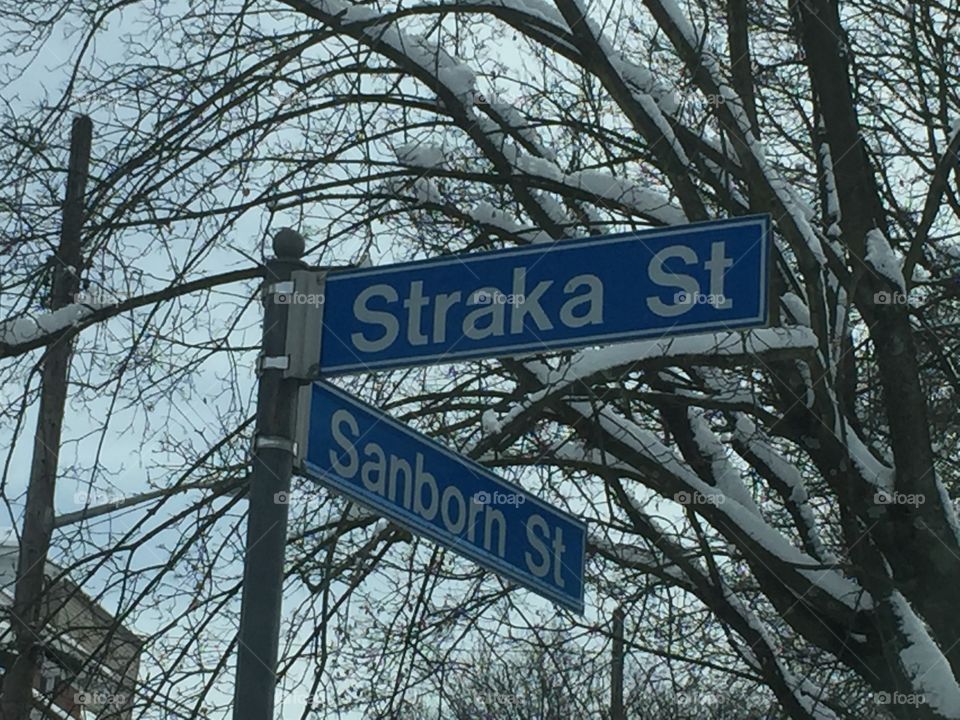 Straka St at Sanborn St