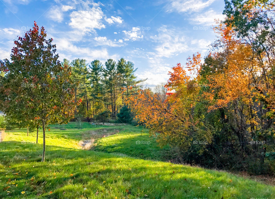 Fall in New Hampshire. 