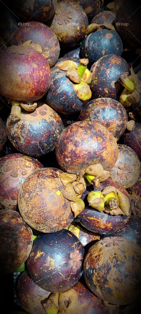 mangosteen