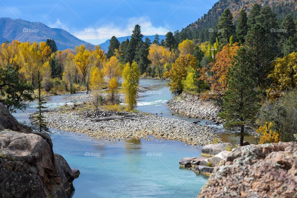 The Animas River snakes its way past brightly colored fall trees in southwest Colorado