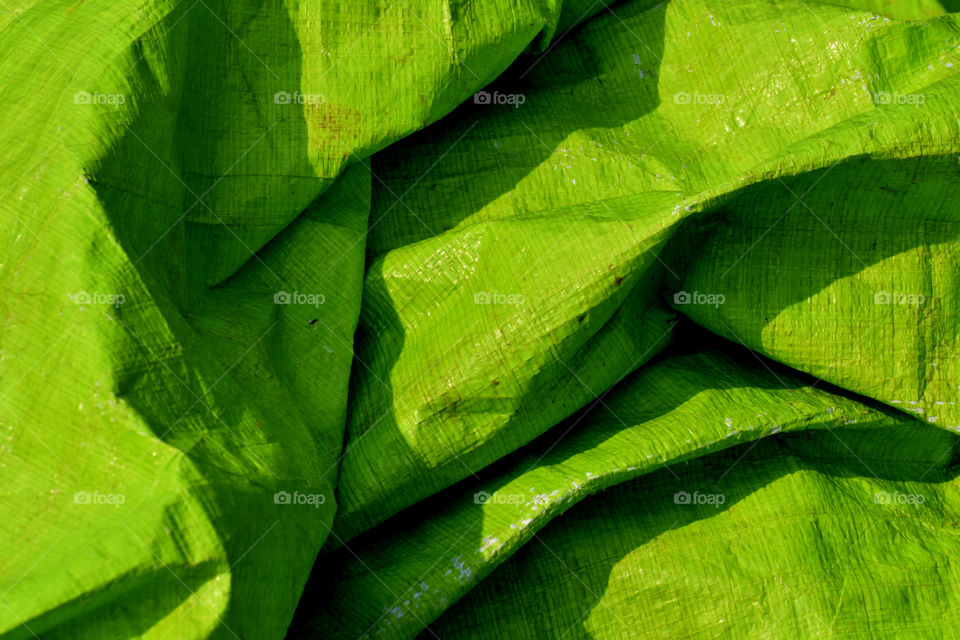 Among the colours, Green is cool.