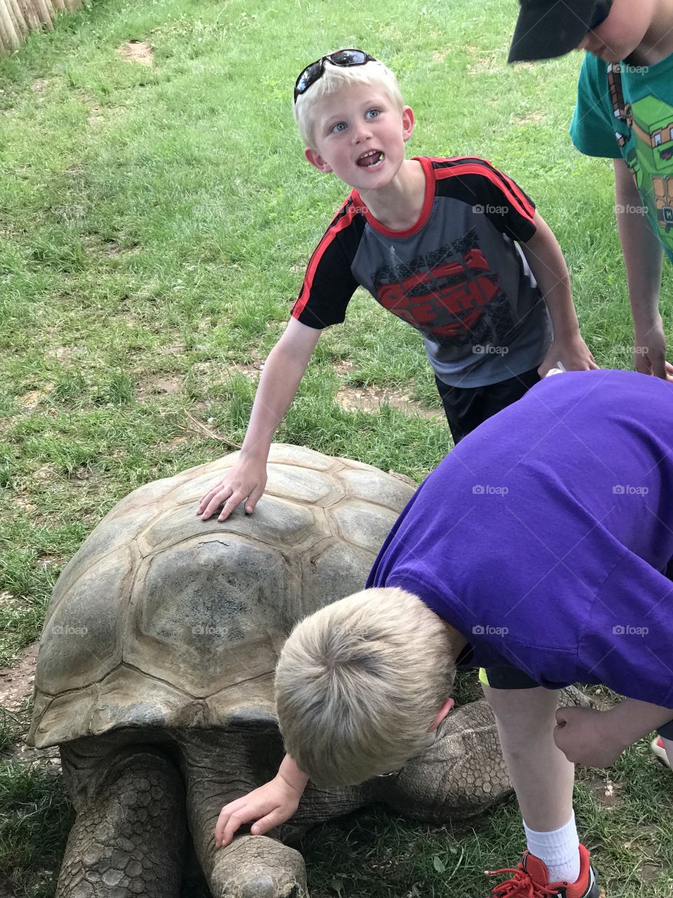 Tortoise and children