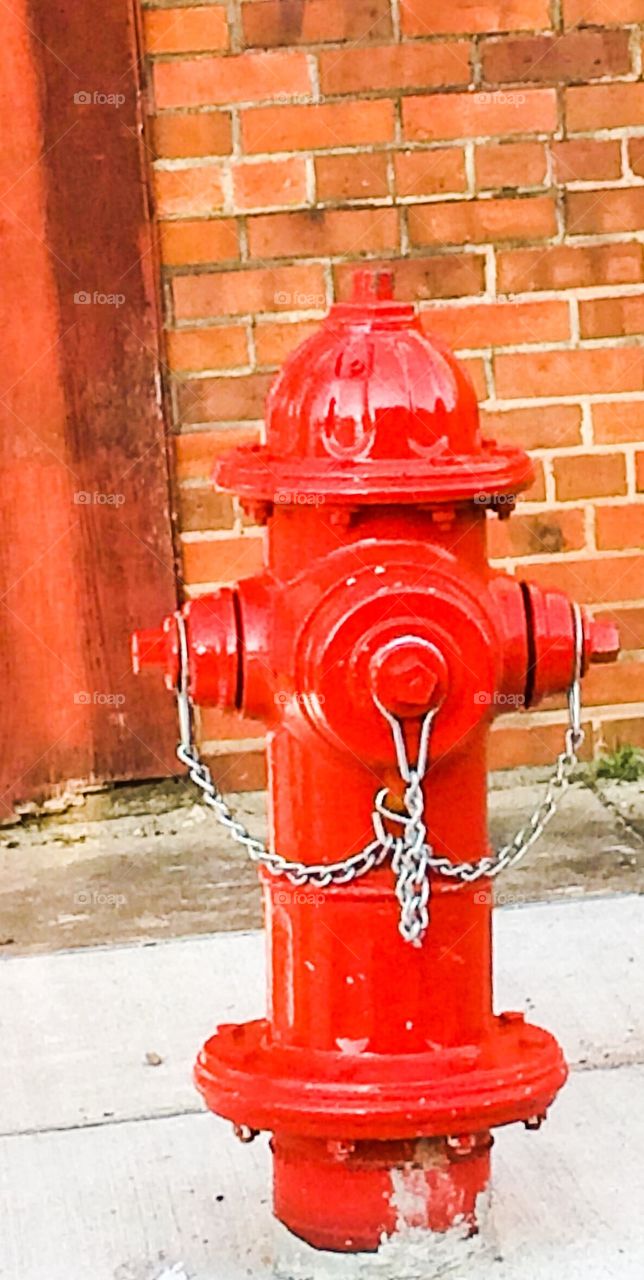 Little red fire hydrant 