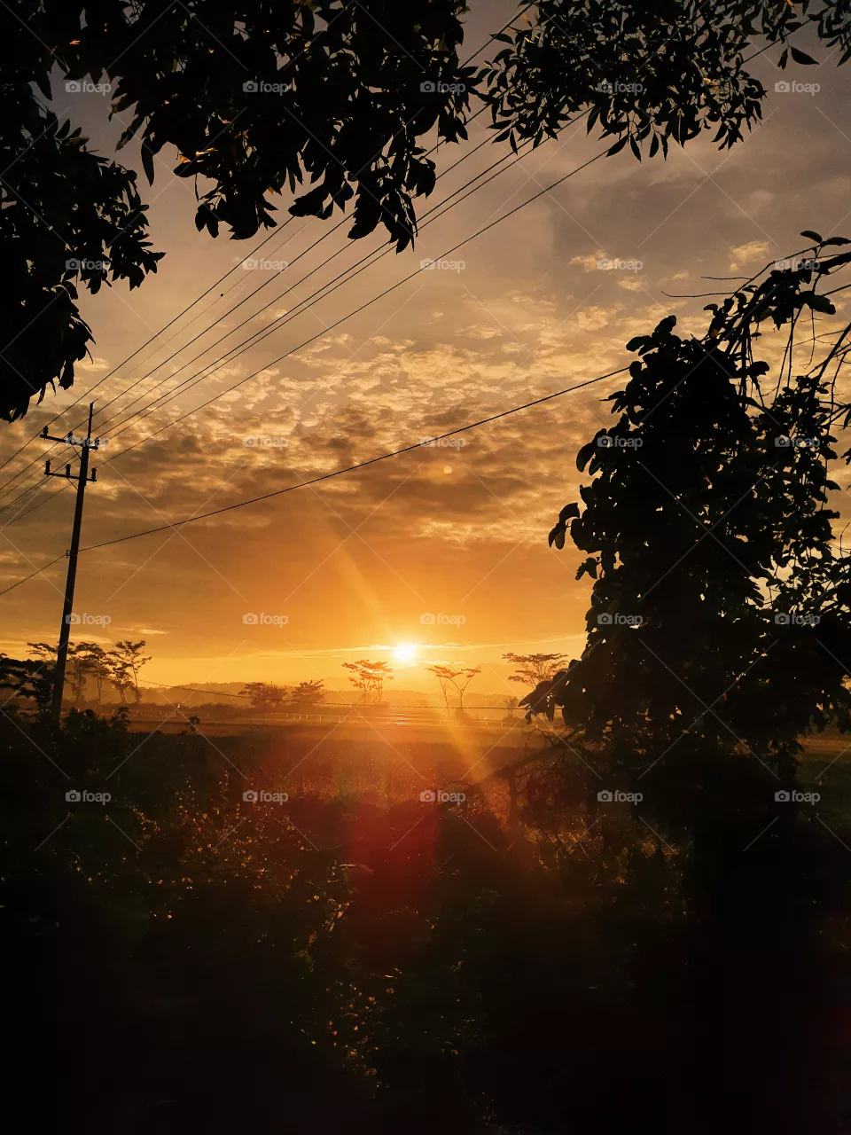 Sunrise.