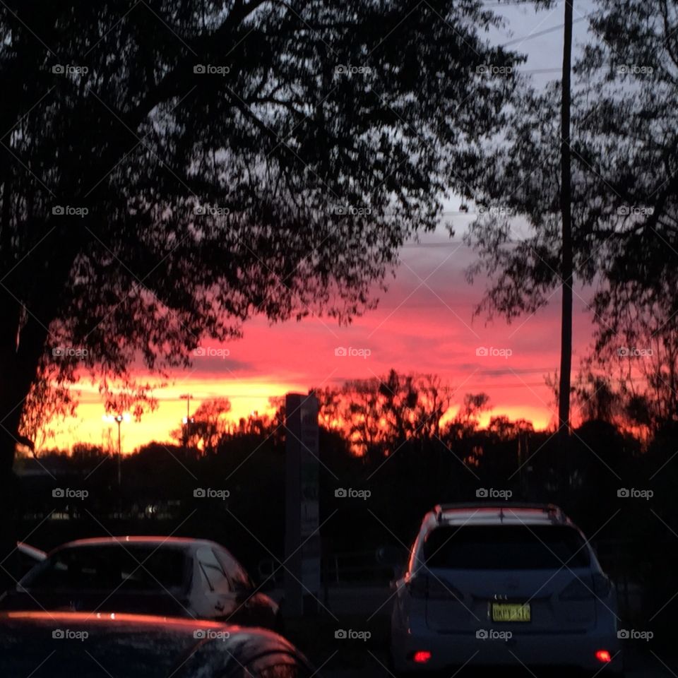 Fire In The Sky. Sunset in Palm Harbor, FL
