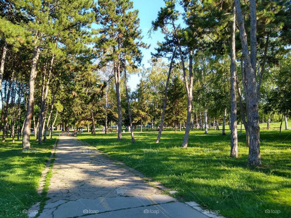 park Čair u Nišu