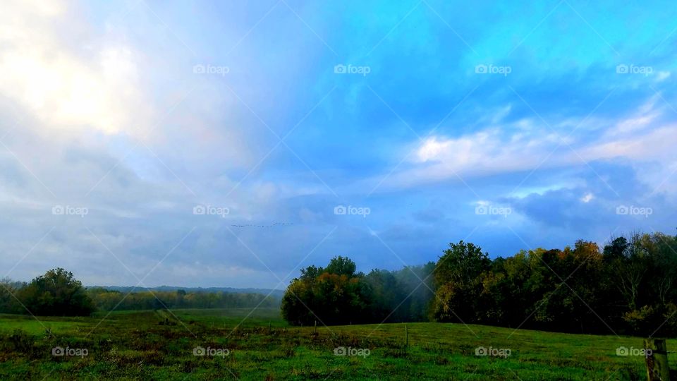 Landscape, Nature, No Person, Tree, Grass