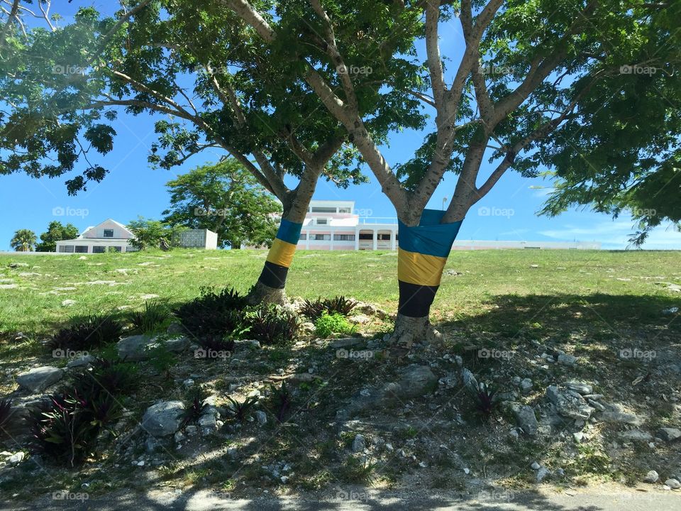 Bahamian flags