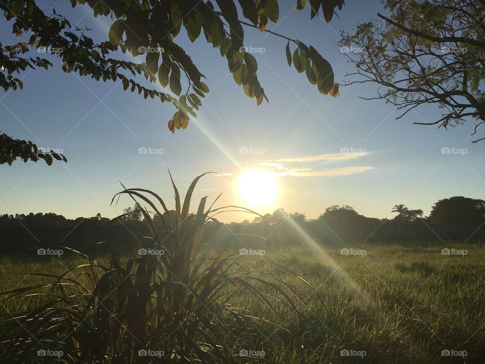 E lá vem o #sol! Que ele nos inspire em mais um dia de vida. 
☀️
#amanhecer
#fotografia
#paisagem
#natureza
#sun
#morning
#nofilter 