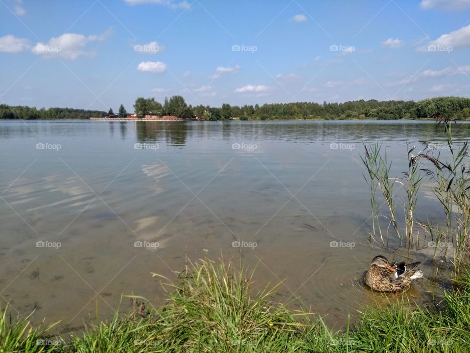 lake landscape summer time blue sky background