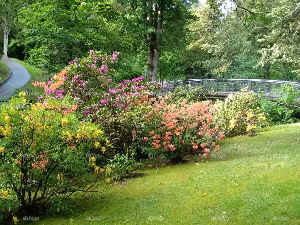 Kurpark in Bad Wildbad