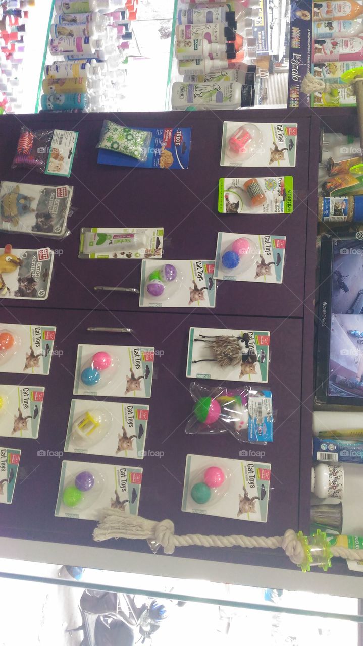 Pet Animals Accessories