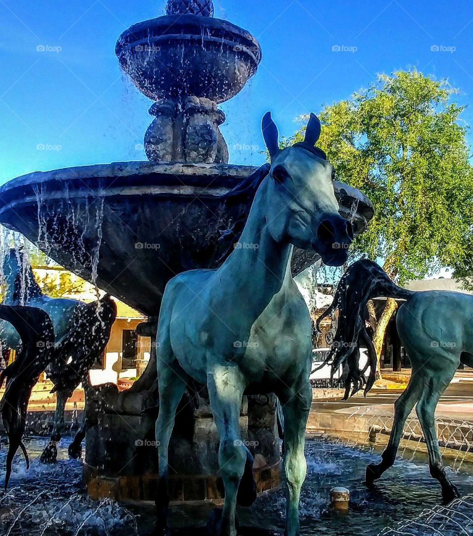 Scottsdale horse Fountain