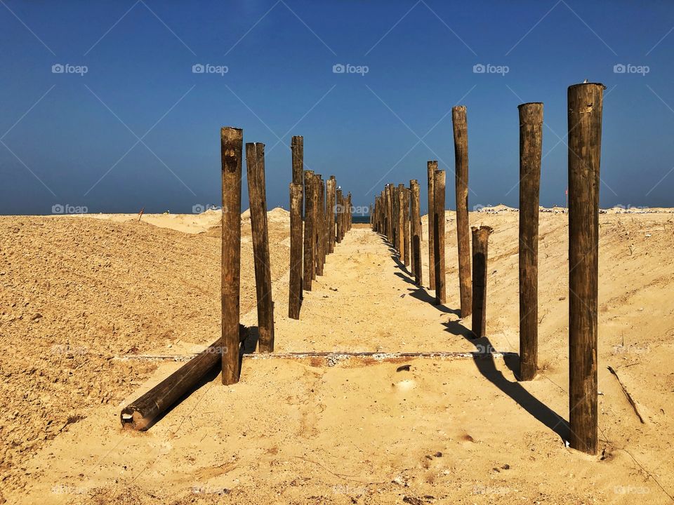 Pier piles leading path to shore side 