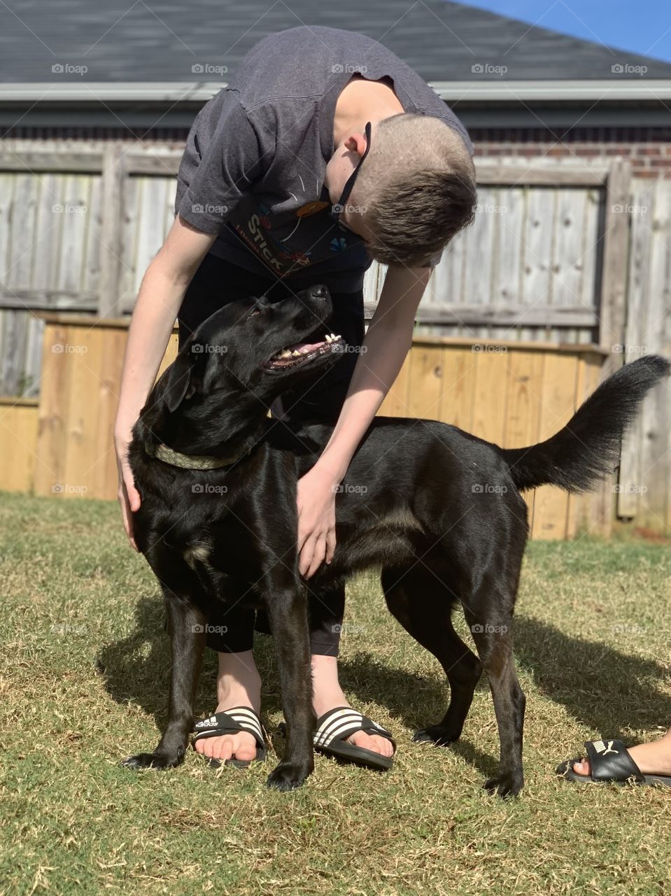 Sweet lab, enjoying a rub from a young man. She looks backs and gives him a nice smile! 