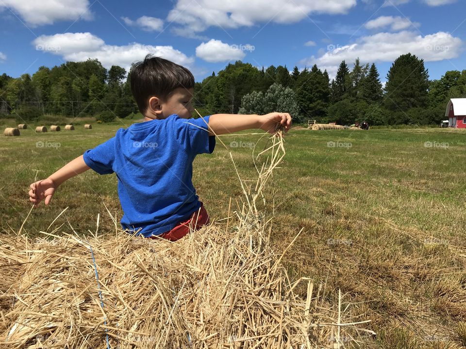 Young boy playing with hay on a farm