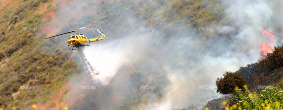 nature blue black grass by hlehnerer