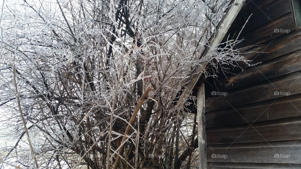 ice storm