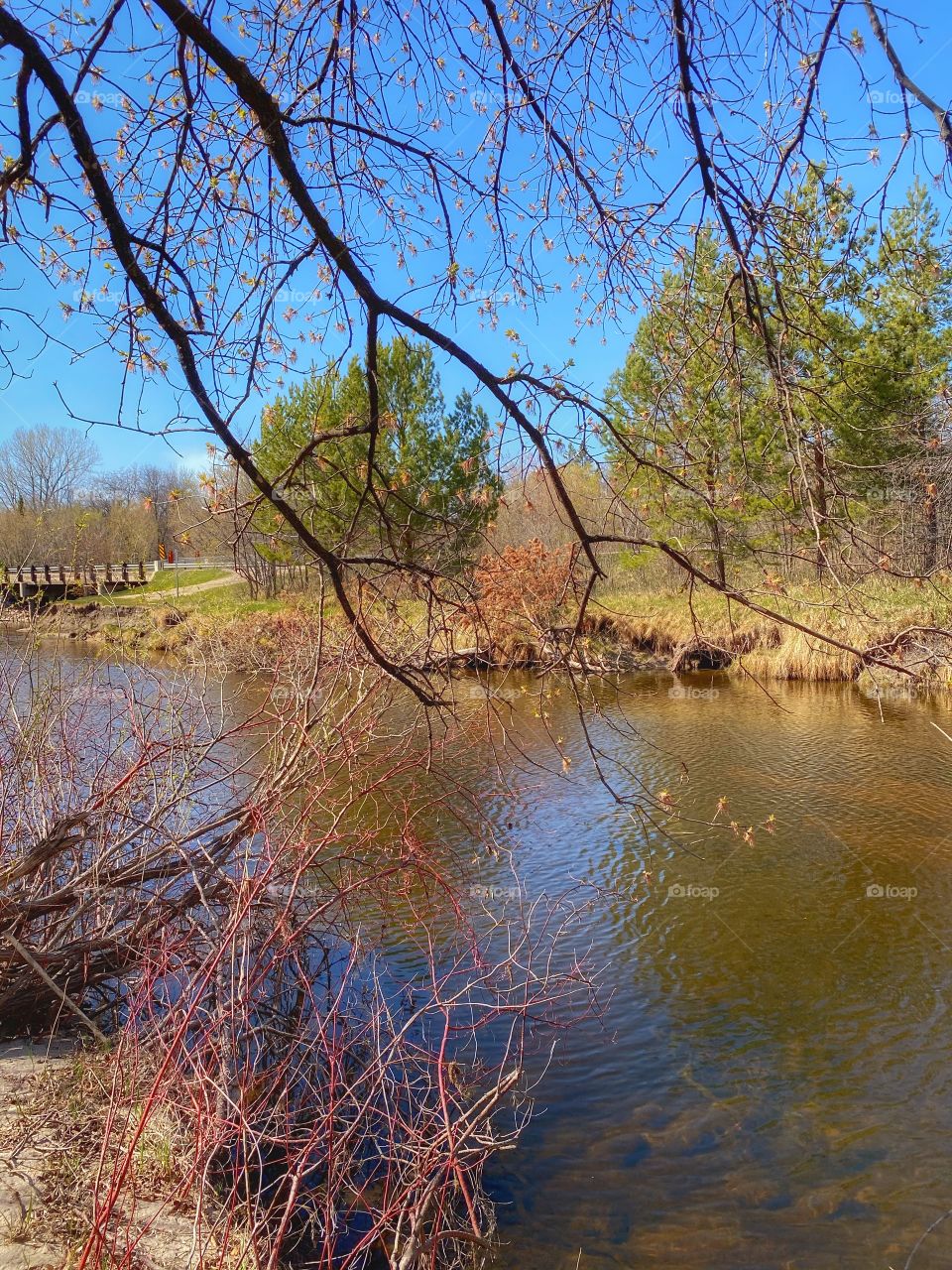 Peaceful river