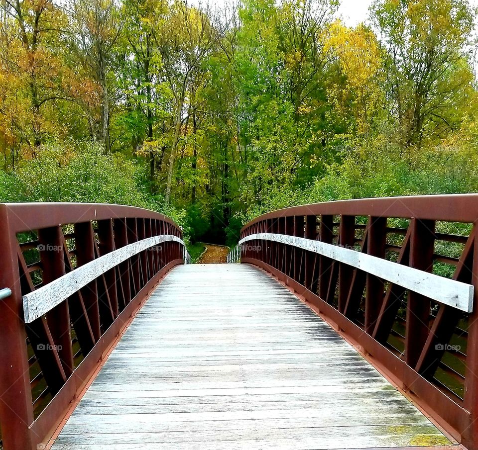 Rusty metal and wood walking bridge and Trees