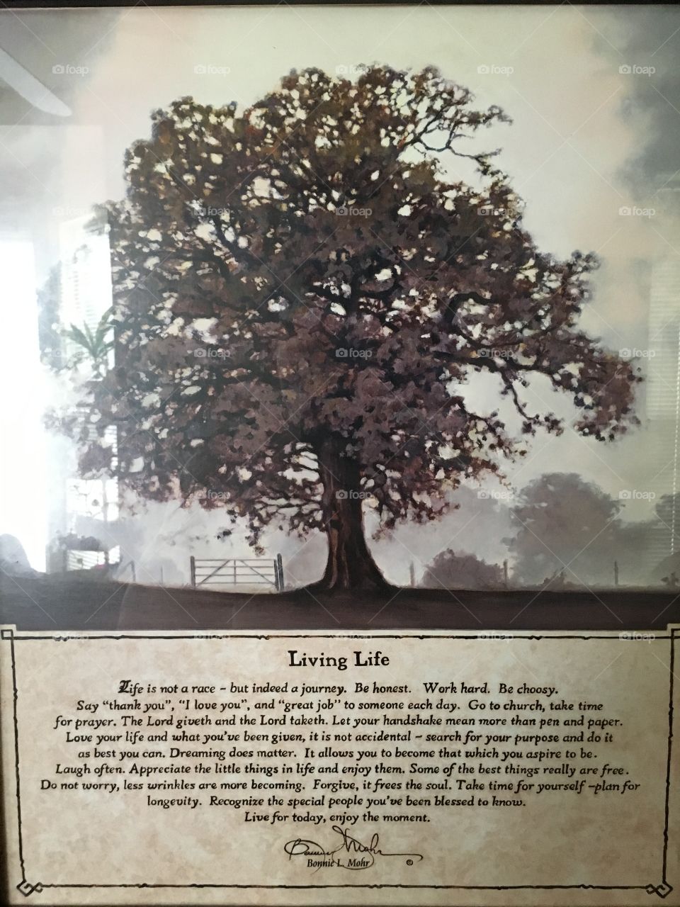 Inspiration for the day 