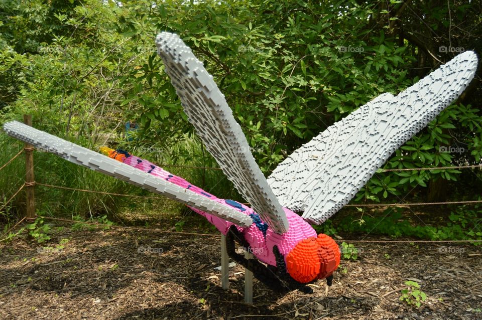 dragonfly. Lego dragonfly