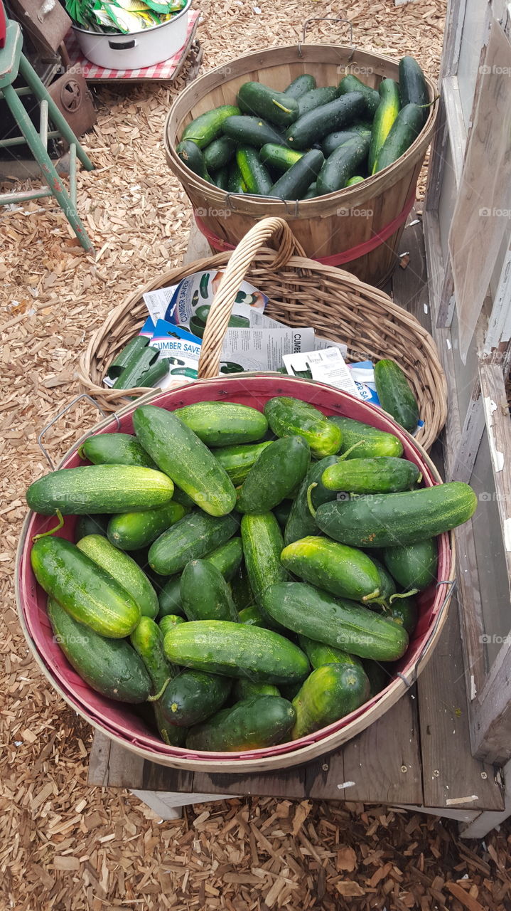 cucumbers basket