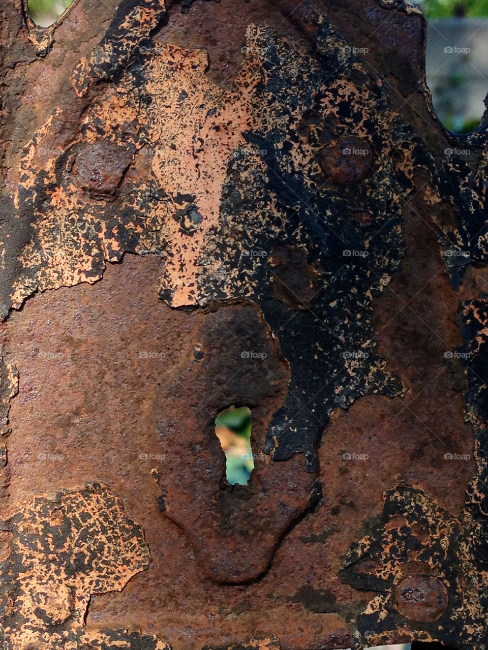 The rusty door in the garden